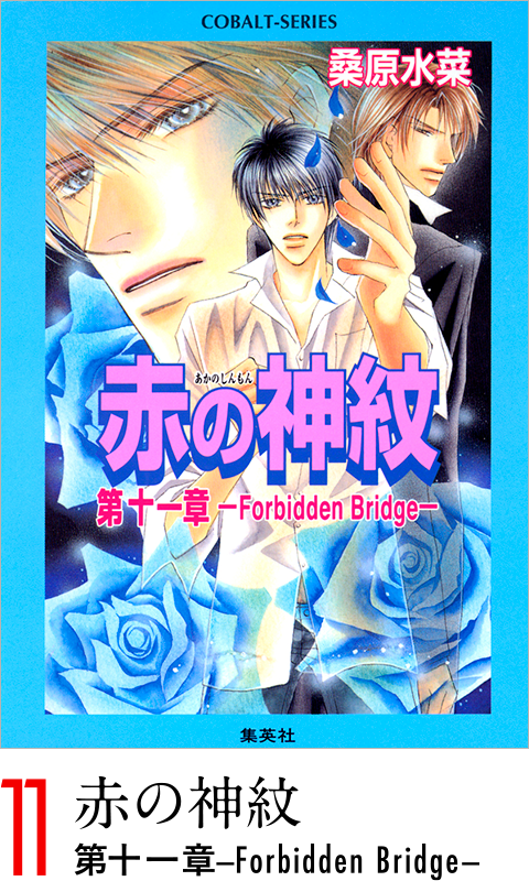 赤の神紋　第十一章-Forbidden Bridge-