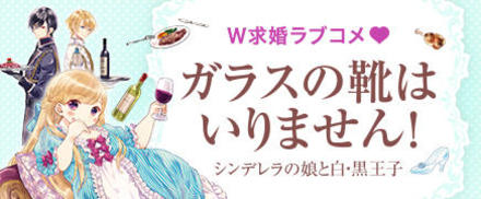 ガラスの靴はいりません！